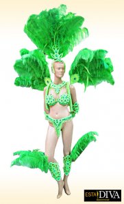 Samba Costume - Rio Samba