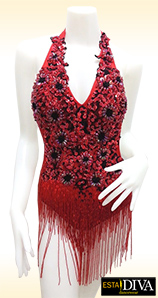 Beaded Fringe Dress - Cher Rouge