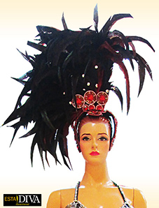 Feather Headdress - Show Gina