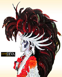 Feather Headdress - Coiffe Mohawk