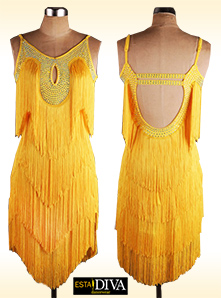 Latin Fringe Dress - Traje de Baile