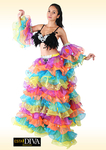 Latin Organza Costume - Colorido