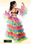 Latin Organza Costume - Colorido