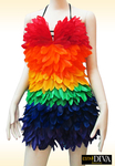 Federkleid - Pluma Rainbow