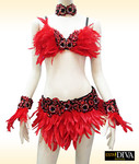 Feather Dress - Samba Plumas