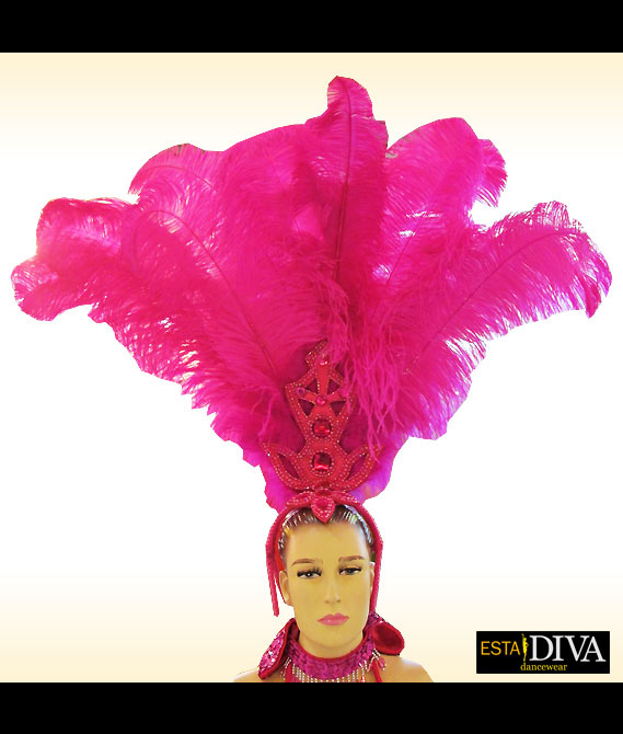 Ostrich Feather Headdress - Pluma