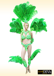 Samba Costume  - Rio Samba