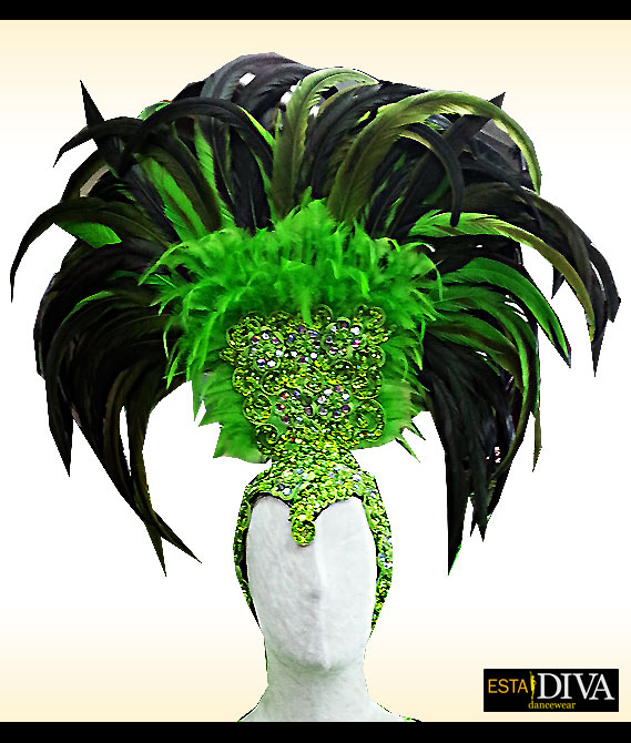 Feather Headdress - Pena Cabeca