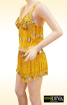 Diva Singer Dress - Abito Danza Oro