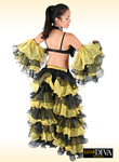 Organza Dance Costume - Latin Minga