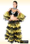 Organza Dance Costume - Latin Minga