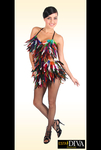 Feather Dress - Pluma Colorida