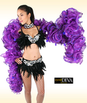 Organza Boa - Ruffle Boa Lined