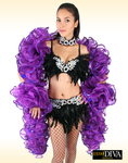 Organza Boa - Ruffle Boa Lined