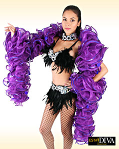 Organza Boa - Ruffle Boa Lined