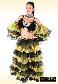 Organza Dance Costume - Latin Minga